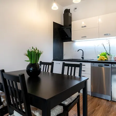 Pure - Gwiaździsta Apartament Wrocław